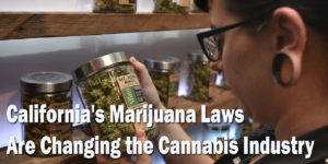 How California's Marijuana Laws Are Changing the Cannabis Industry