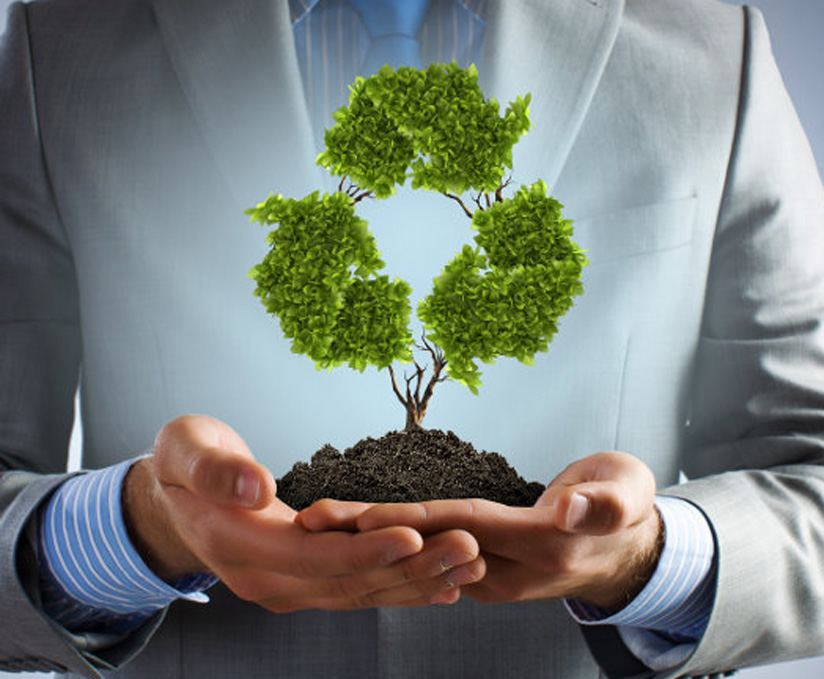 Are You Considering Introducing Corporate Social Responsibility for Your Business?