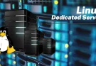 Linux Dedicated Servers: Unlocking Performance, Security, and Flexibility